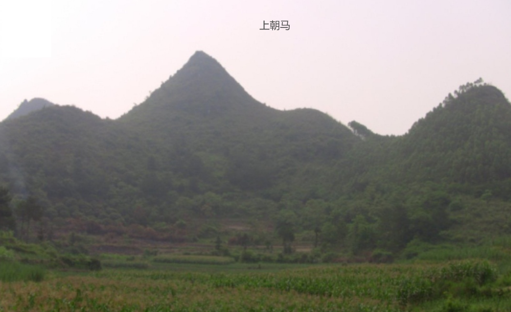 (9)右弼星:5.png