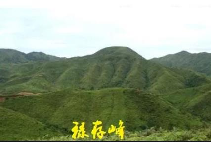 (3)禄存土:.png (3)禄存土:.png